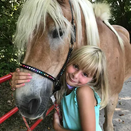 Vakantieboerderij Roehling Zwischen Schlei Und Ostsee Kappeln