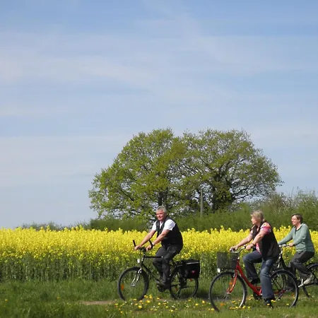 Roehling Zwischen Schlei Und Ostsee